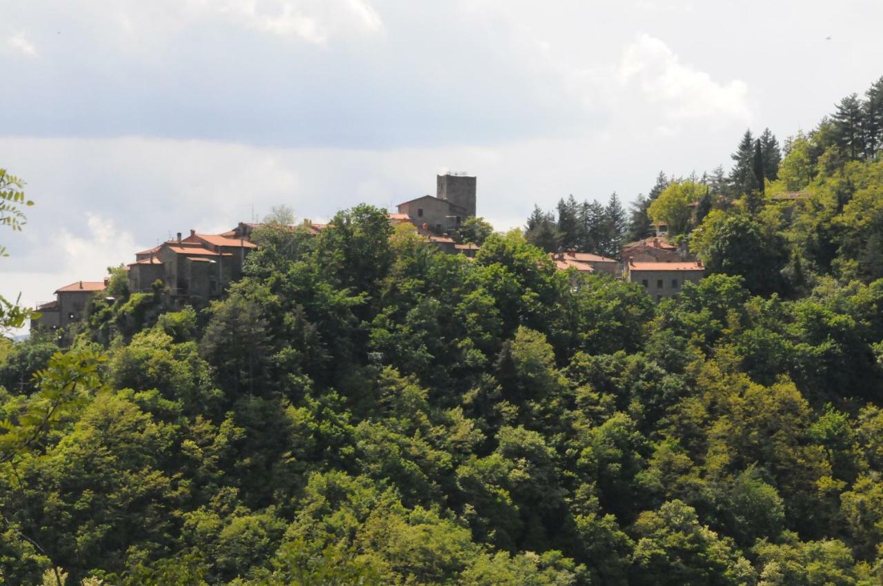 Il Molino Di Serravalle Bibbiena Eksteriør billede